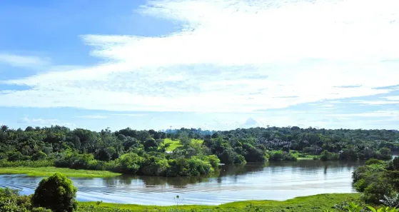 Fazenda/Sítio com 3 Quartos à venda, 36000m² no , Iranduba