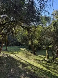 Lote/Terreno à venda, 3333m² no Fiuza, Viamão