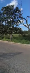 Lote/Terreno à venda, 5000m² no Residencial Ortegal, Abadia de Goiás