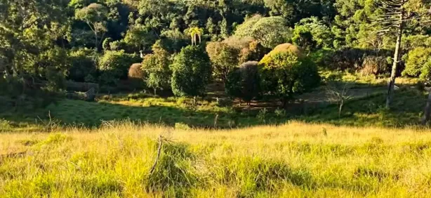 Fazenda/Sítio à venda, 1000m² no , Cambuí
