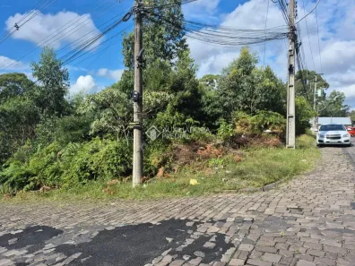 Lote/Terreno à venda, 720m² no Cidade Nova, Caxias do Sul