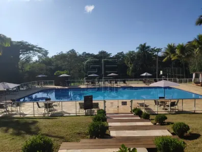 Lote/Terreno à venda, 250m² no Jardim Montecatini, Londrina