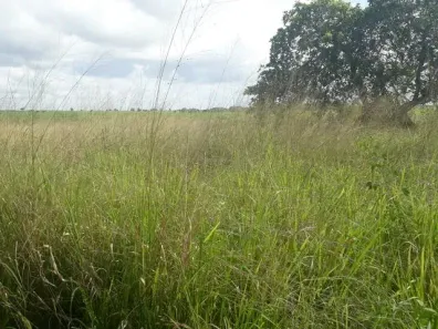 Fazenda/Sítio com 3 Quartos à venda, 950000m² no , Vera Cruz