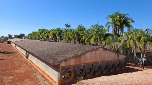Fazenda/Sítio com 2 Quartos à venda, 107000m² no , Brasília