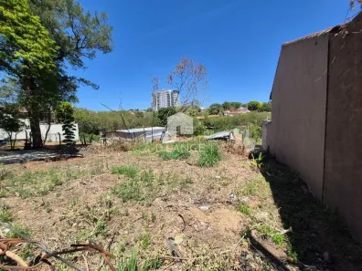 Lote/Terreno à venda, 290m² no Jardim das Paineiras, Campinas