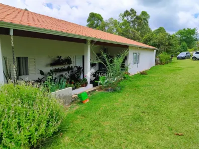 Fazenda/Sítio com 3 Quartos à venda, 36000m² no Área Rural de Itapetininga, Itapetininga