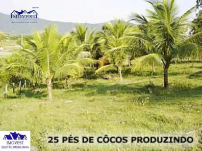 Fazenda/Sítio à venda, 7886m² no Caxito, Maricá
