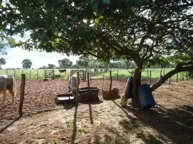 Fazenda/Sítio com 2 Quartos à venda, 230000m² no Área Rural de Campo Grande, Campo Grande