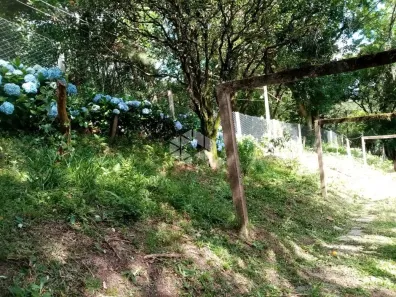 Lote/Terreno à venda, 3600m² no Cascata, Porto Alegre