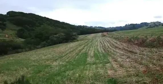 Fazenda/Sítio à venda, 1452000m² no Centro, Apucarana