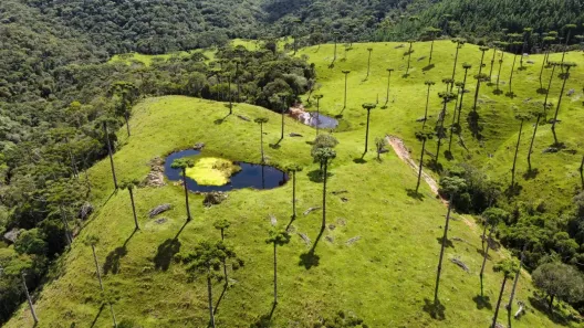 Fazenda/Sítio com 2 Quartos à venda, 290500m² no , Rancho Queimado