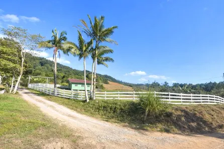 Fazenda/Sítio com 2 Quartos à venda, 35242m² no Alto Concórdia, Lontras