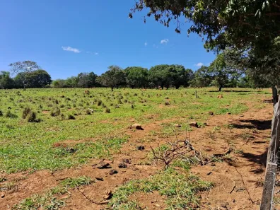 Fazenda/Sítio à venda, 23000m² no Setor Residencial Mestre D'Armas, Brasília
