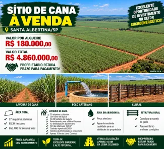 Fazenda/Sítio com 3 Quartos à venda, 653400m² no Centro, Santa Albertina