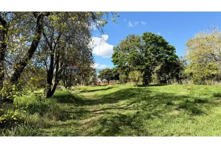 Fazenda/Sítio à venda, 9262m² no Chácara Recreio Vista Alegre, Botucatu