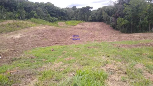 Lote/Terreno à venda, 5000m² no Contenda, Contenda