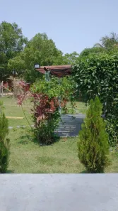 Fazenda/Sítio com 3 Quartos à venda, 200m² no , Alfredo Marcondes