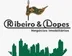 Miniatura da foto de Ribeiro E Lopes Negócios Imobiliários