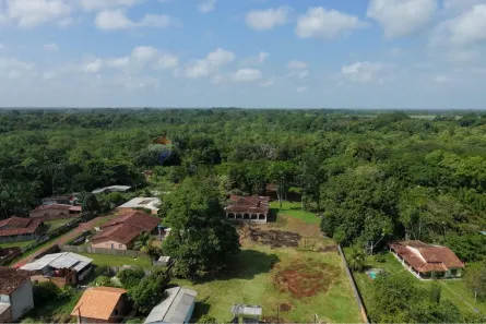 Fazenda/Sítio com 1 Quarto à venda, 30000m² no Benfica, Benevides
