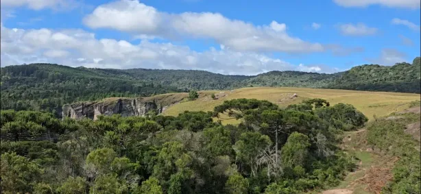 Fazenda/Sítio à venda, 908000m² no , Bocaina do Sul