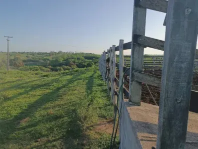 Fazenda/Sítio com 3 Quartos à venda, 200000m² no , Monte Alegre