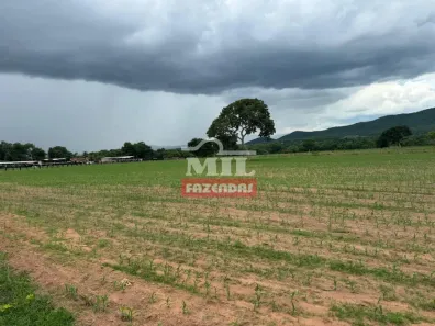 Fazenda/Sítio à venda, 500m² no , Montividiu do Norte