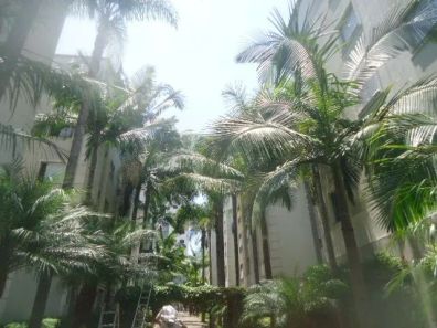 Apartamento com 3 Quartos à venda, 56m² no Cidade dos Bandeirantes, São Paulo