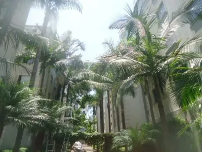 Apartamento com 3 Quartos à venda, 56m² no Cidade dos Bandeirantes, São Paulo
