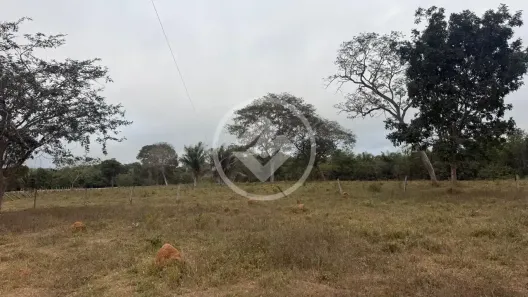 Fazenda/Sítio com 5 Quartos à venda, 84m² no , Nobres
