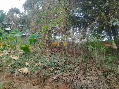 Lote/Terreno à venda, 590m² no Jardim Silvestre, Itaquaquecetuba