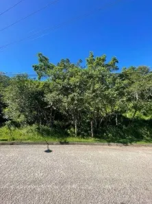 Lote/Terreno à venda, 1494m² no João Paulo, Florianópolis