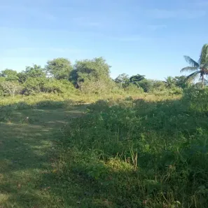 Fazenda/Sítio com 3 Quartos à venda, 490000m² no Guajiru, São Gonçalo do Amarante
