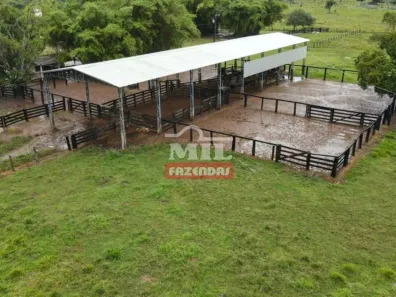 Fazenda/Sítio com 3 Quartos à venda, 500m² no , Santana do Araguaia