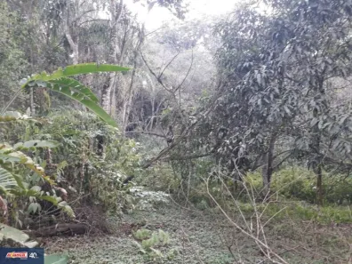 Fazenda/Sítio com 1 Quarto à venda, 46m² no Água Azul, Guarulhos