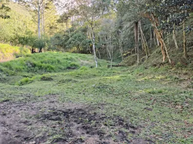 Fazenda/Sítio à venda, 121000m² no Parque San Marino, Piracaia