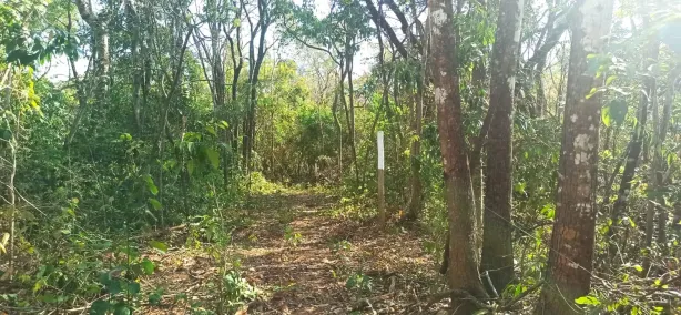 Lote/Terreno à venda, 20000m² no Jaboticatubas, Jaboticatubas