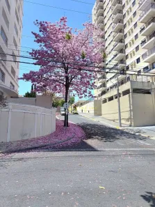 Apartamento com 3 Quartos para alugar, 101m² no Vila Independência, Sorocaba