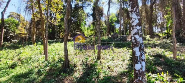 Lote/Terreno à venda, 3000m² no Curral, Ibiúna