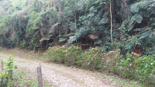 Lote/Terreno à venda, 1847m² no , Monteiro Lobato