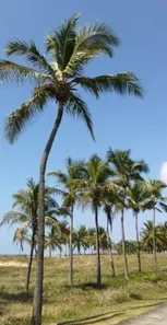 Apartamento com 4 Quartos à venda, 125m² no Salgado Filho, Aracaju