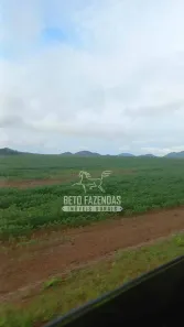 Fazenda/Sítio à venda, 125650000m² no , São Geraldo do Araguaia