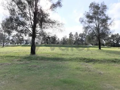 Lote/Terreno à venda, 1018m² no Loteamento Alphaville Campinas, Campinas