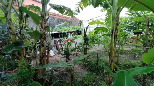 Lote/Terreno à venda, 337m² no Jardim Suarão - Praia, Itanhaém