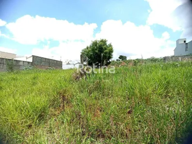 Lote/Terreno à venda, 300m² no Vigilato Pereira, Uberlândia