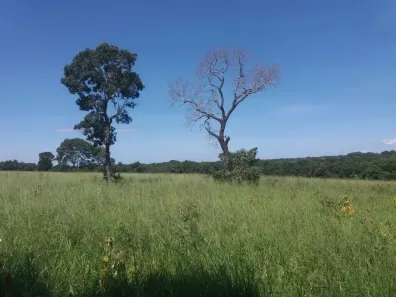 Fazenda/Sítio à venda, 4150000m² no , Urucuia
