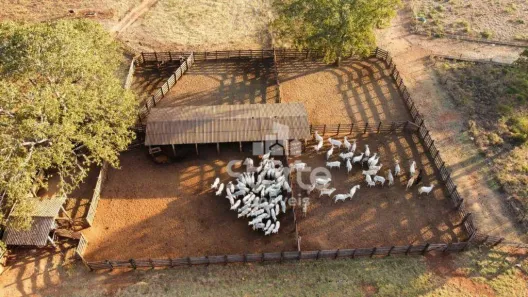 Fazenda/Sítio à venda, 5000000m² no Zona Rural de Costa Rica Ms, Costa Rica