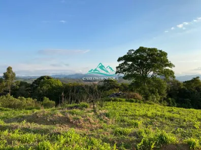 Lote/Terreno à venda, 20000m² no , Toledo