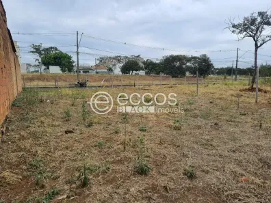 Lote/Terreno à venda, 250m² no Laranjeiras, Uberlândia
