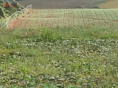 Fazenda/Sítio à venda, 4162400m² no Centro, Poços de Caldas