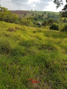 Fazenda/Sítio à venda, 1m² no Parque Residencial Maria Elmira, Caçapava